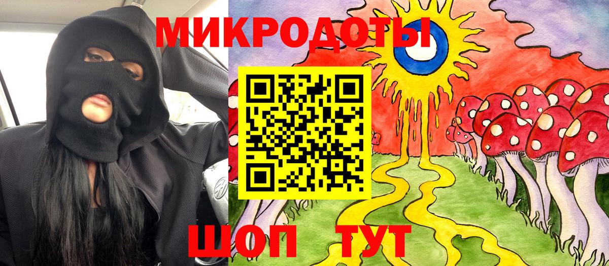 Галлюциногенные грибы Psilocybine cubensis Медногорск