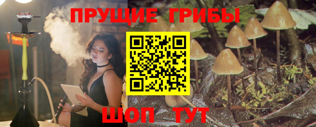 Псилоцибиновые грибы мухоморы  Вход с VPN  Псилоцибиновые грибы Cubensis  Медногорск 