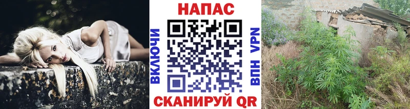 Канабис марихуана  где найти наркотики  Медногорск 